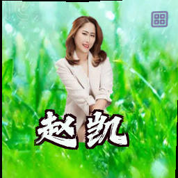 赵凯